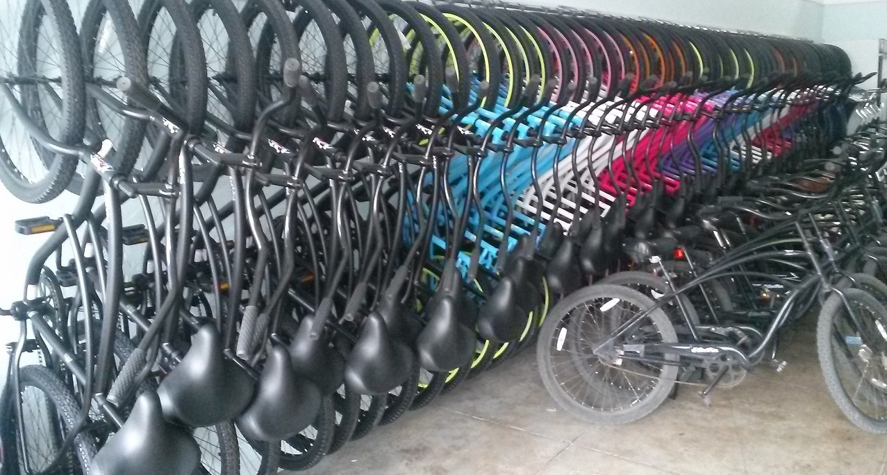 Muscle Beach Bicycle Rentals